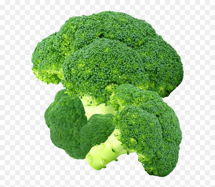 Product Image - Broccoli, HD Png Download - brocolli png