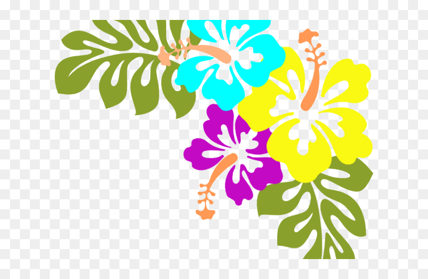 Library Clipart Borders - Tropical Flowers Clipart Png, Transparent Png - hibiscus border png