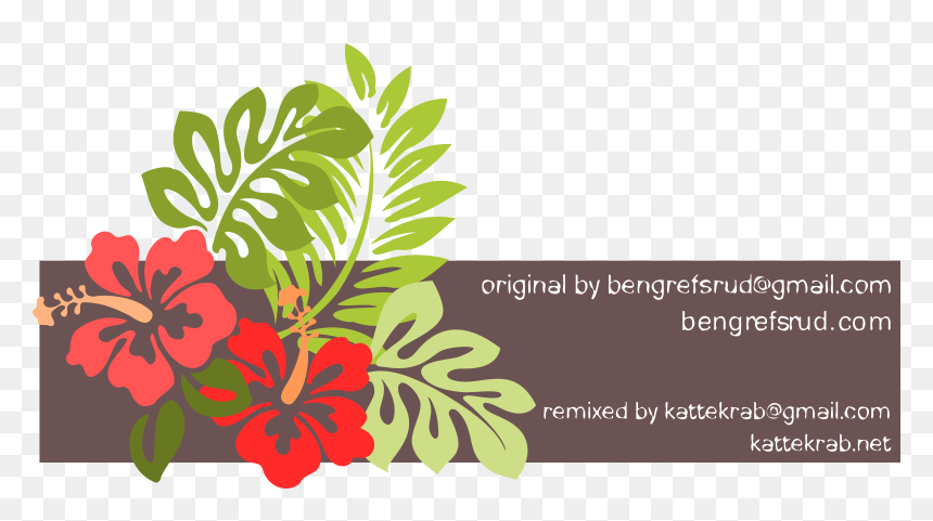 Hibiscus Clipart Phool - Beach Flowers Clipart, HD Png Download - hibiscus border png