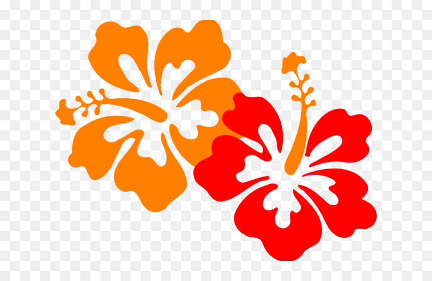 Hibiscus Clip Art, HD Png Download - hibiscus border png