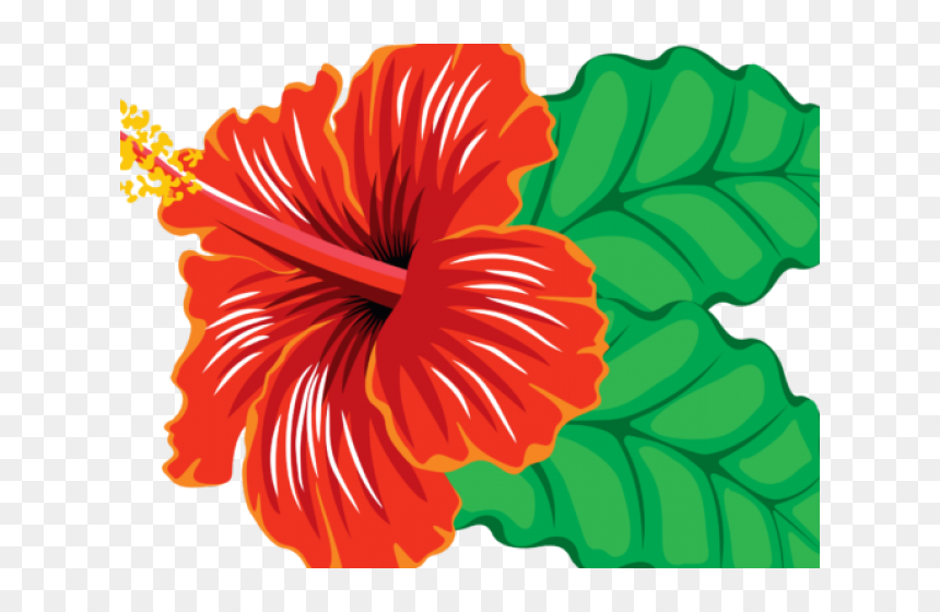 Transparent Hibiscus Clipart - Hibiscus Clipart, HD Png Download - hibiscus border png