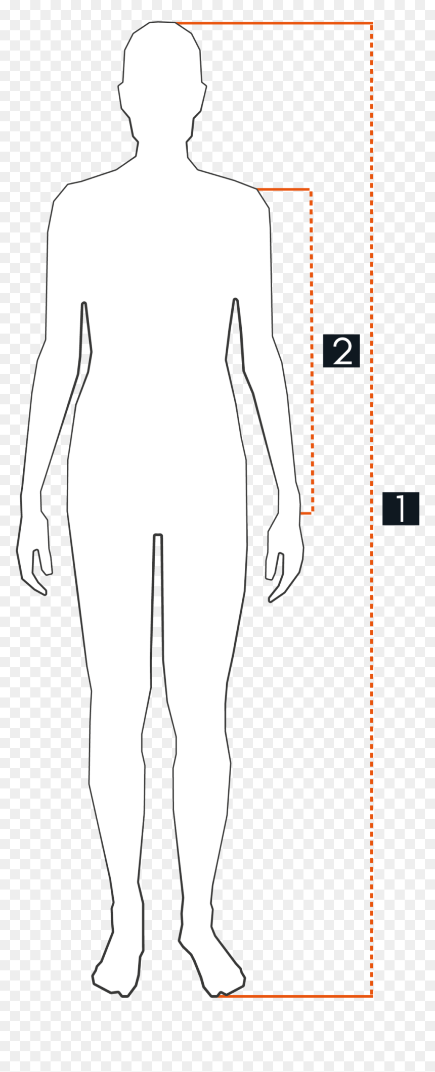 Standing, HD Png Download - tundra png