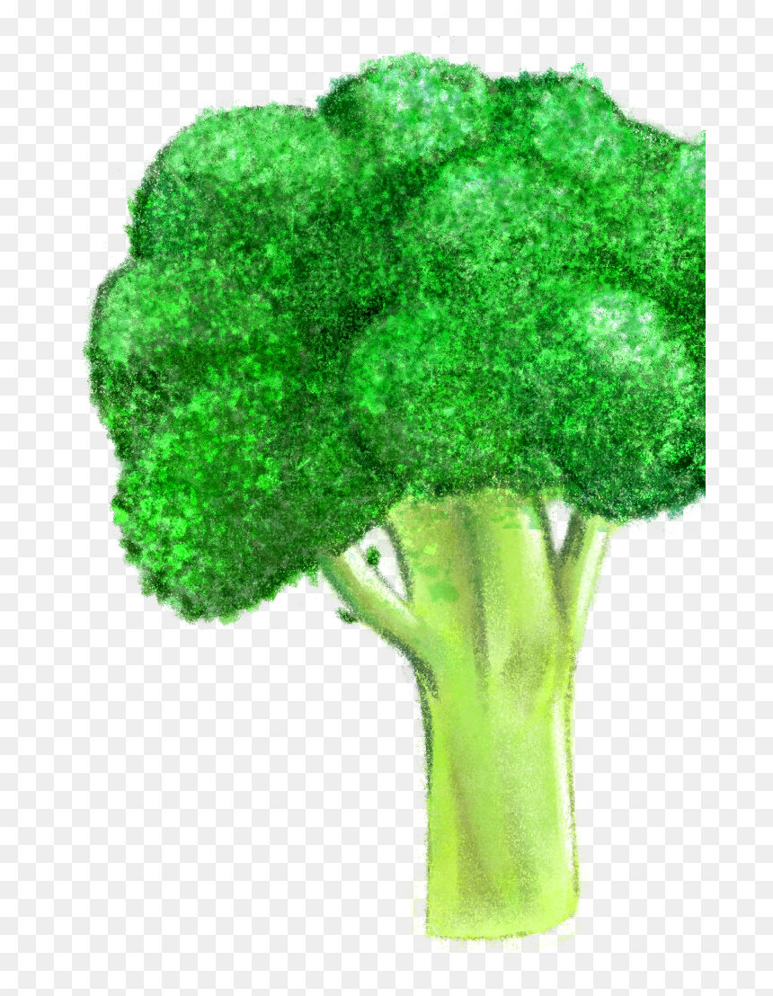 Broccoli, HD Png Download - brocolli png