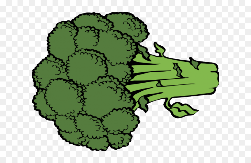Broccoli Cliparts - Broccoli Cartoon Png, Transparent Png - brocolli png