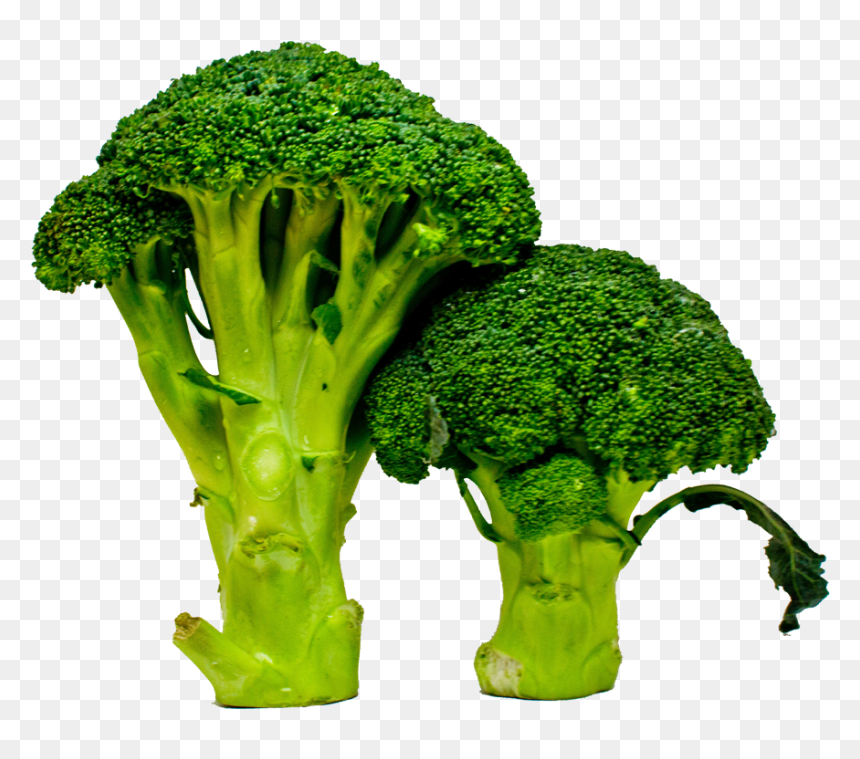 Broccoli, HD Png Download - brocolli png