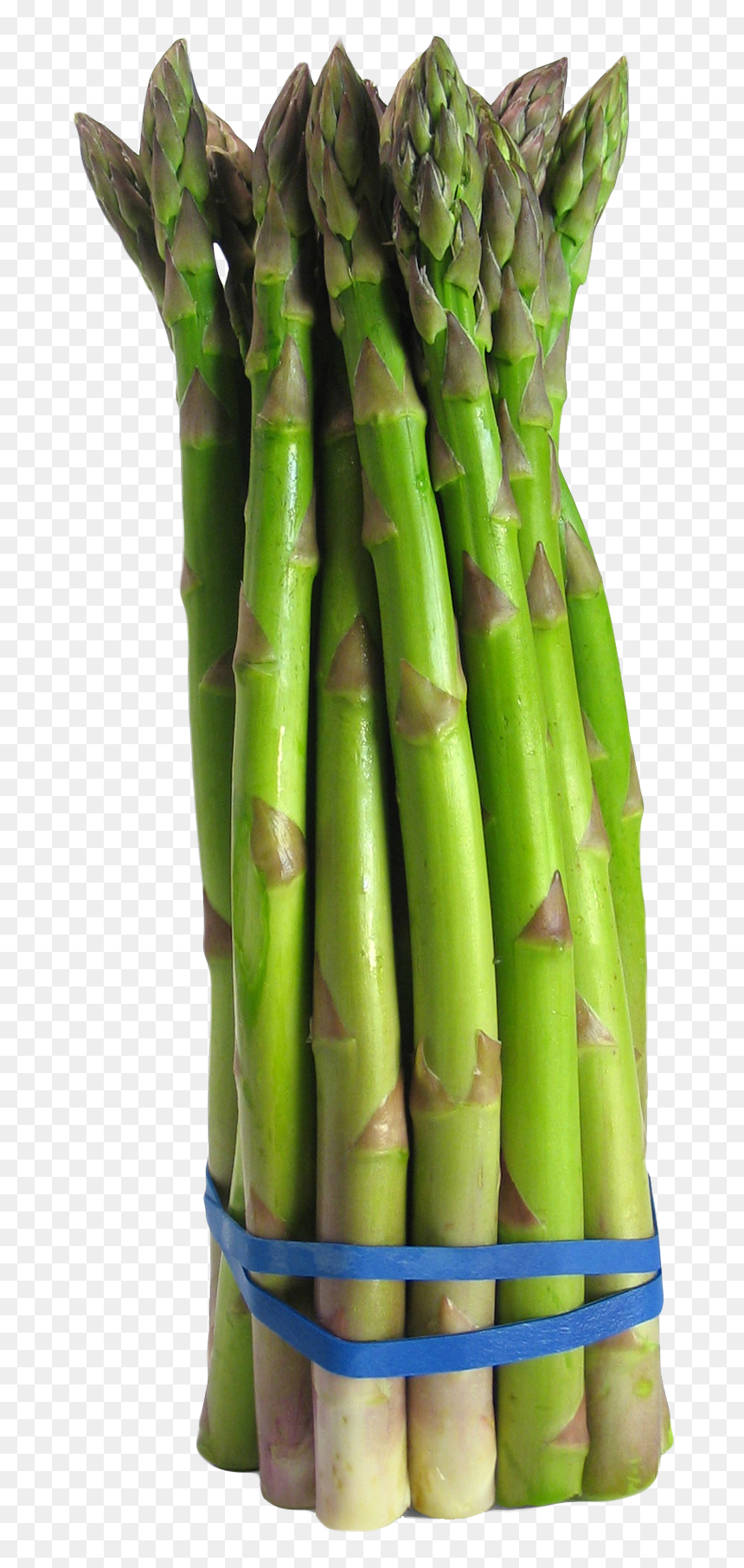 Asparagus Png, Transparent Png - brocolli png