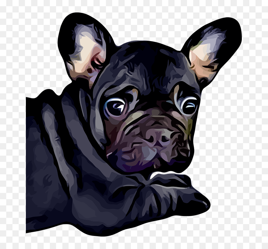 French Bulldog, HD Png Download - bulldog face png