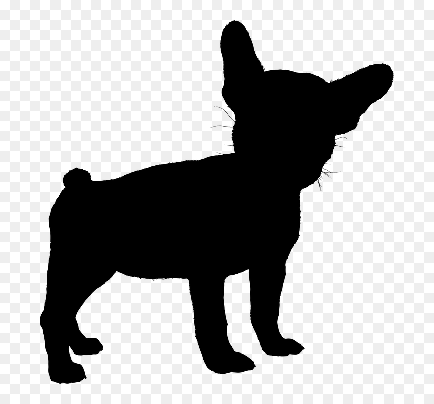 法国 斗牛 犬 Png, Transparent Png - bulldog face png