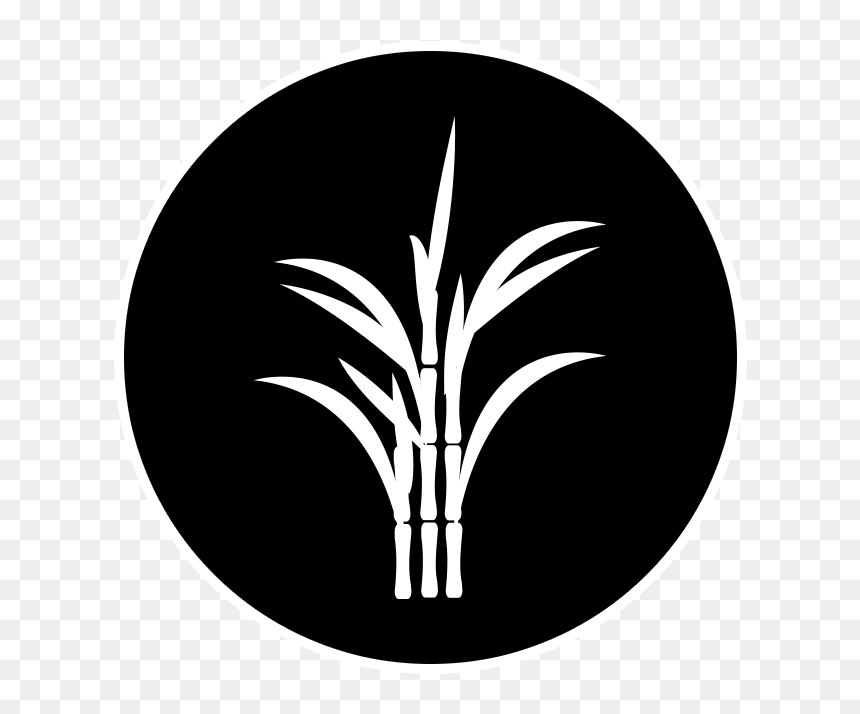 Who Does Ckdu Affect - Circle, HD Png Download - sugarcane png