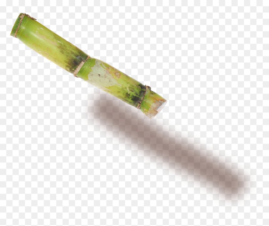Sugarcane - Plant Stem, HD Png Download - sugarcane png