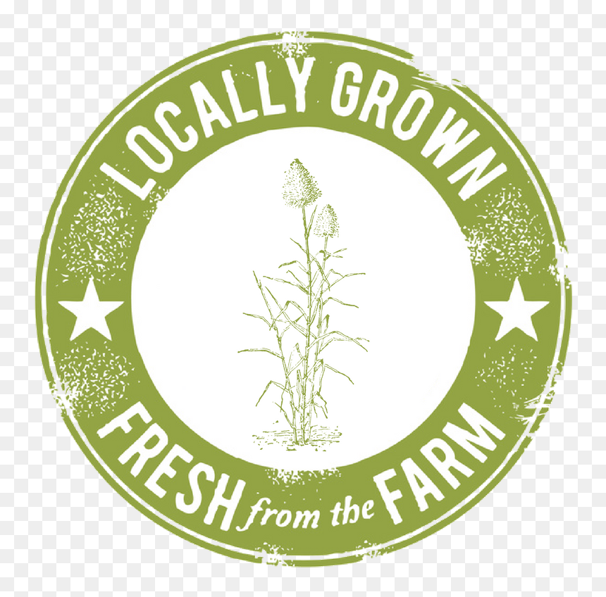 Sugarcane - Farm Fresh, HD Png Download - sugarcane png
