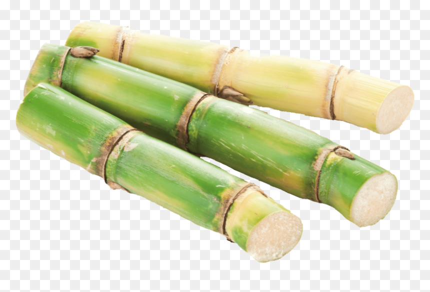Acheter Canne A Sucre, HD Png Download - sugarcane png
