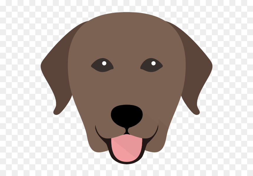 Labrador Retriever, HD Png Download - labrador retriever png