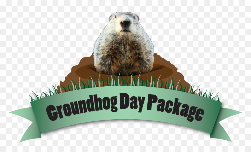 Groundhog Day Png, Transparent Png - groundhog day png