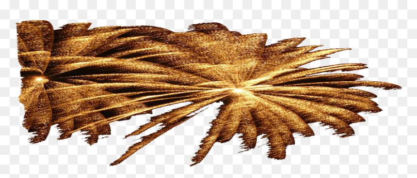 Image Spectacle Feu Artifice Tony Chauvelie - Fireworks, HD Png Download - feu d'artifice png