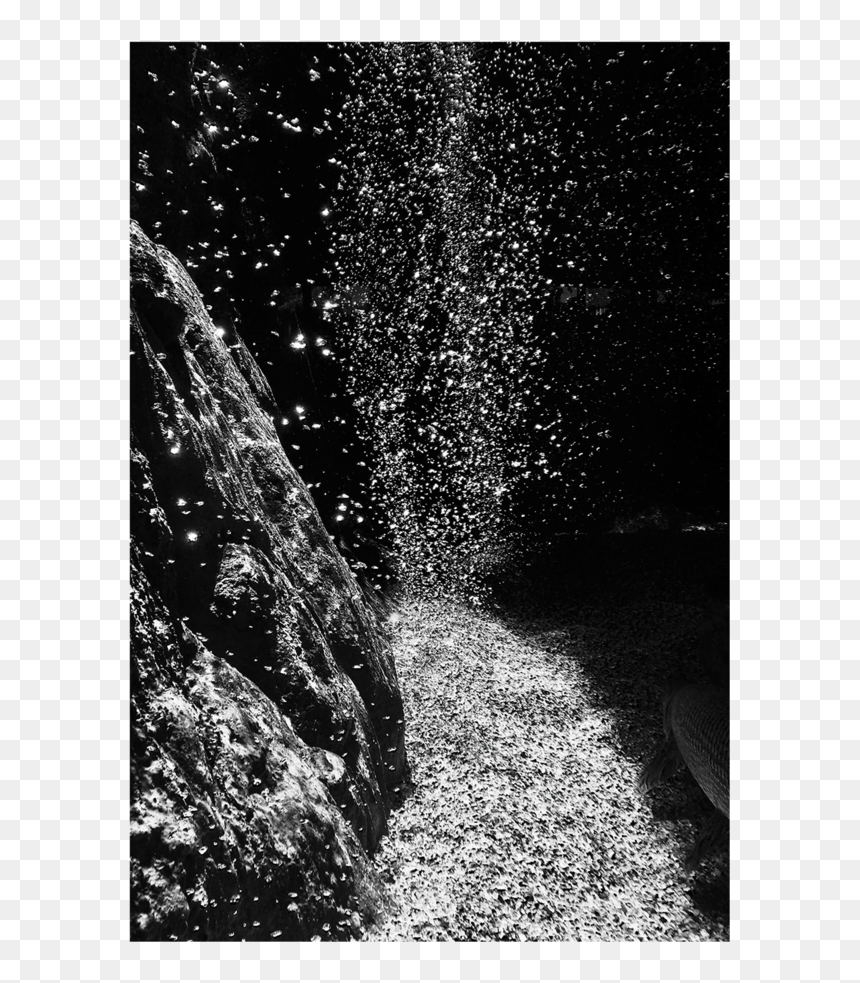 Clip Art White Photography Ono Gallery - Monochrome, HD Png Download - instagram black and white png