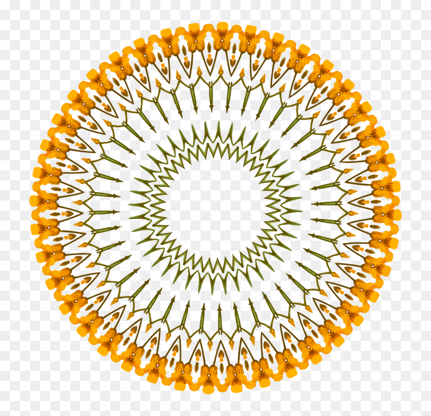 Circle,yellow,texas - United Church Papua New Guinea, HD Png Download - texas clipart png