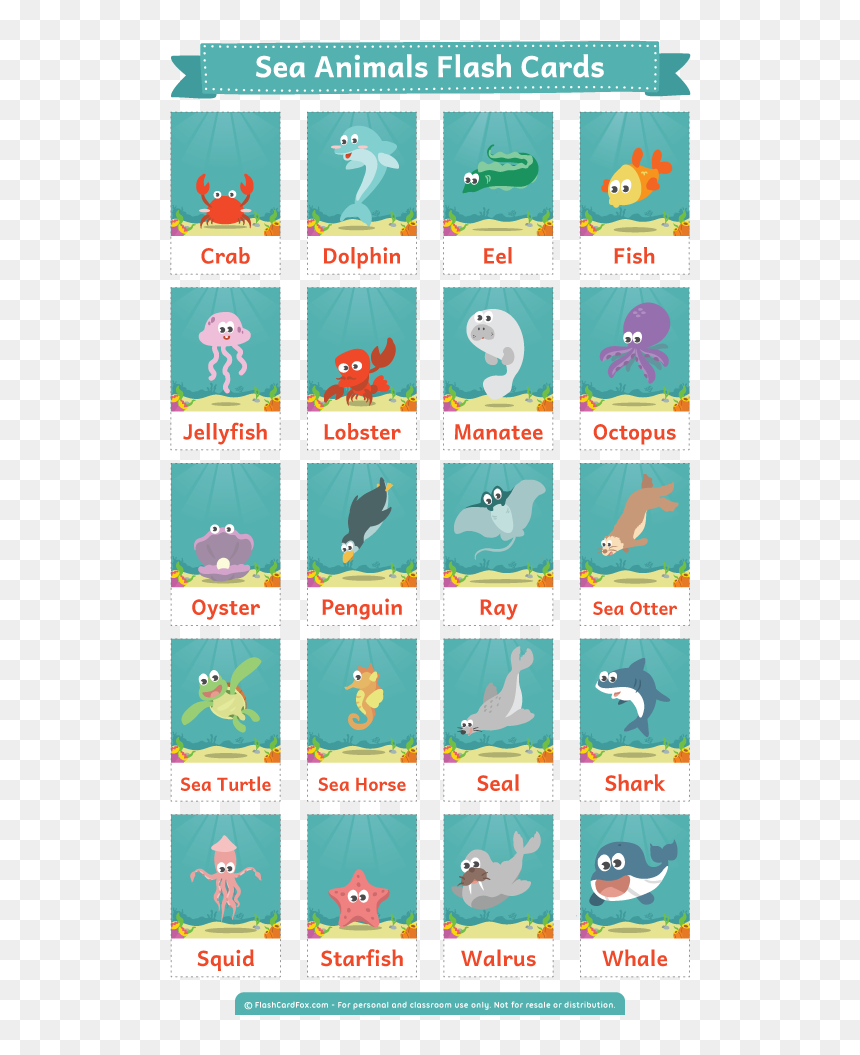 Free Printable Sea Animals Flash Cards - Sea Animals Flashcards Printable, HD Png Download - sea creatures png