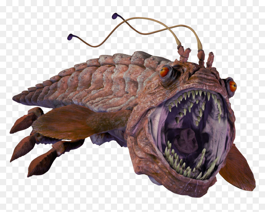Premium Eras Legends - Star Wars Opee Sea Killer, HD Png Download - sea creatures png