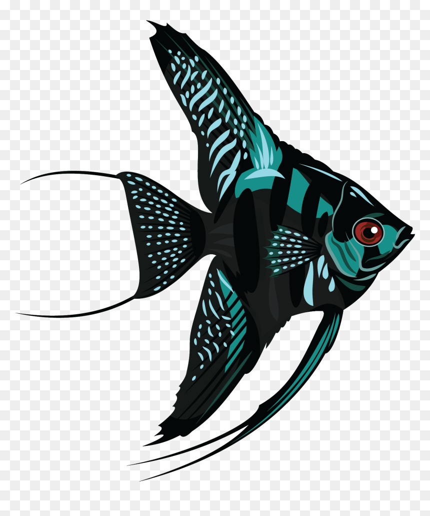 Fish Png Download - Angelfish Png, Transparent Png - angelfish png