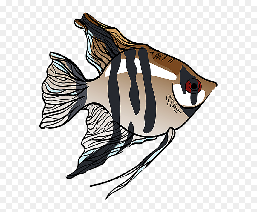 Angelfish , Png Download - Illustration, Transparent Png - angelfish png