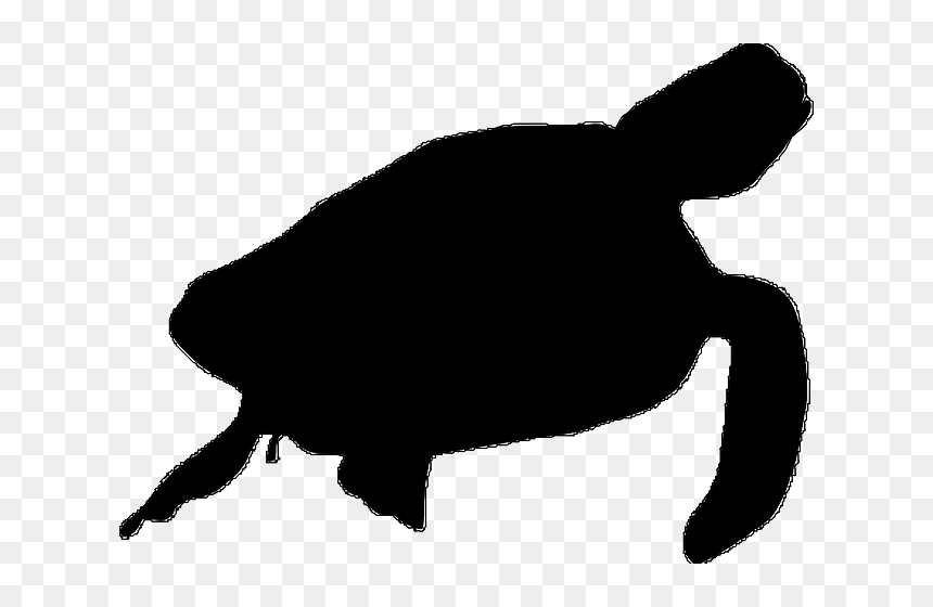 Sea Turtle Clipart Sea Life - Sea Animals Silhouette Png, Transparent Png - sea turtle clipart png