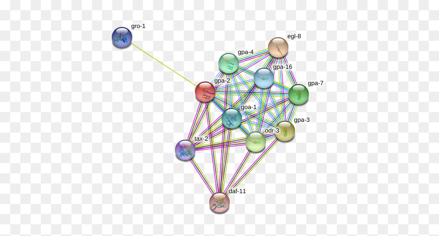 Gpa-2 Protein - Circle, HD Png Download - gpa png