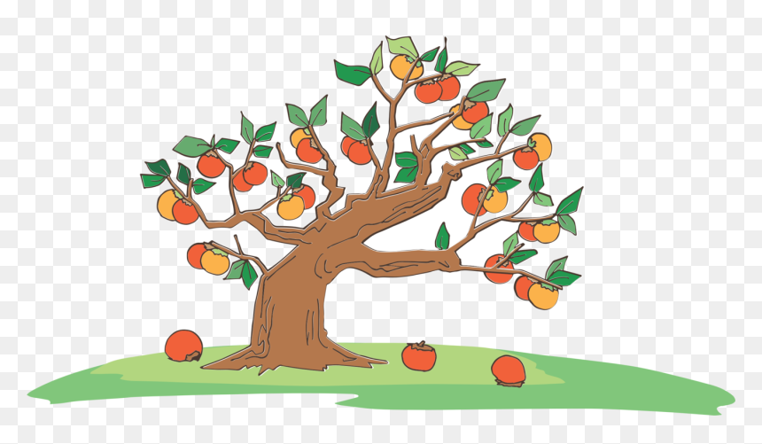 Botany,plant,leaf - Cartoon Background Tree With Fruit, HD Png Download - persimmon png