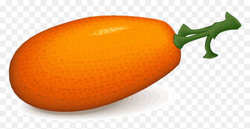 Seedless Fruit, HD Png Download - persimmon png