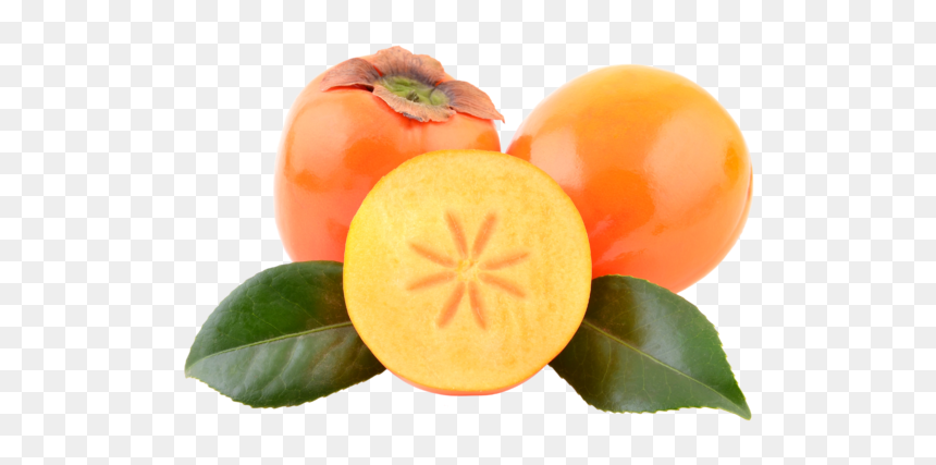 Persimmon, HD Png Download - persimmon png
