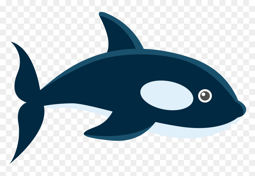 Cartoon Whales, HD Png Download - cartoon whale png