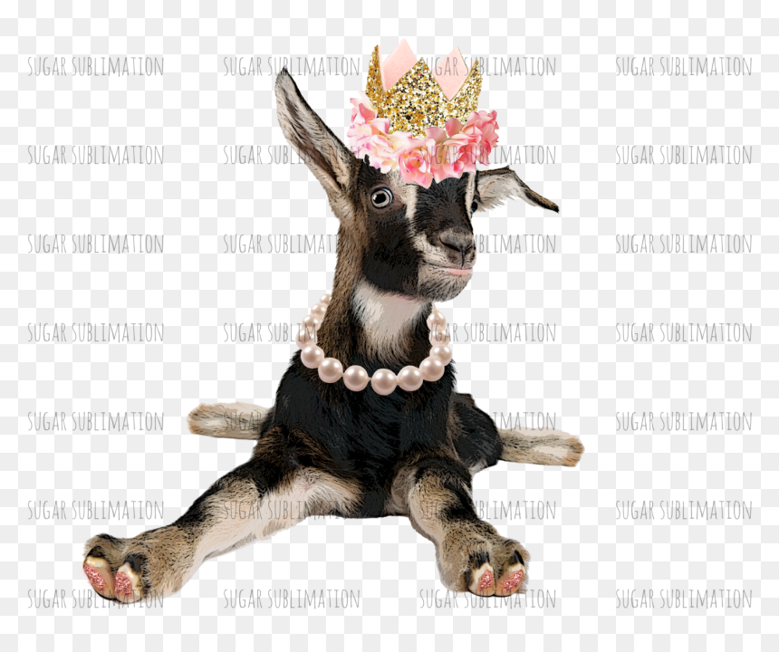 Iphone 6s Plus Case Goats, HD Png Download - sassy png