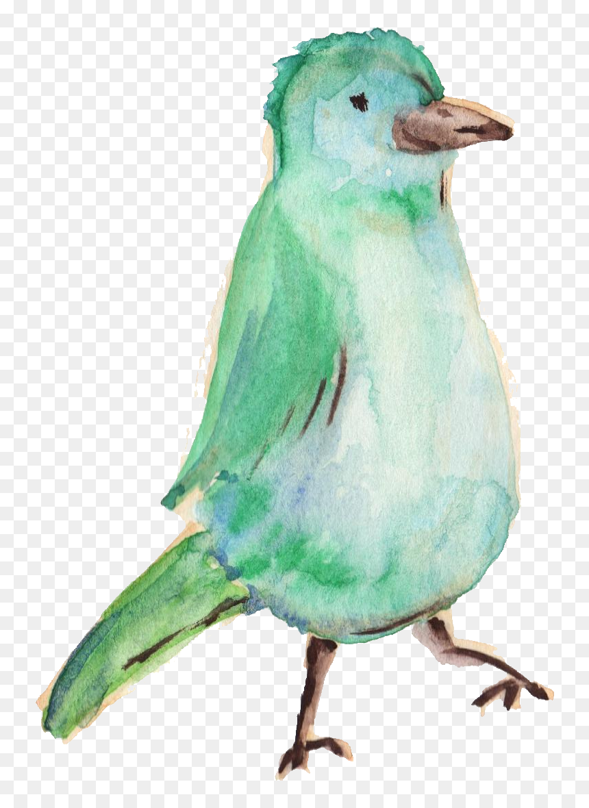 Water Color Bird Png - Bird Color Water Png, Transparent Png - bird transparent png