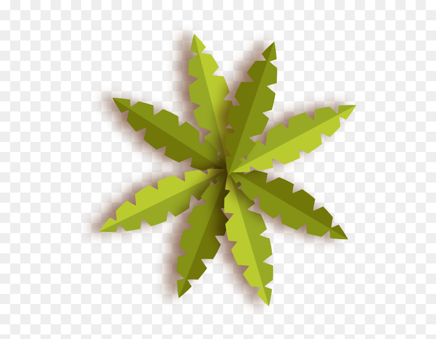 Maple Leaf, HD Png Download - tree top png