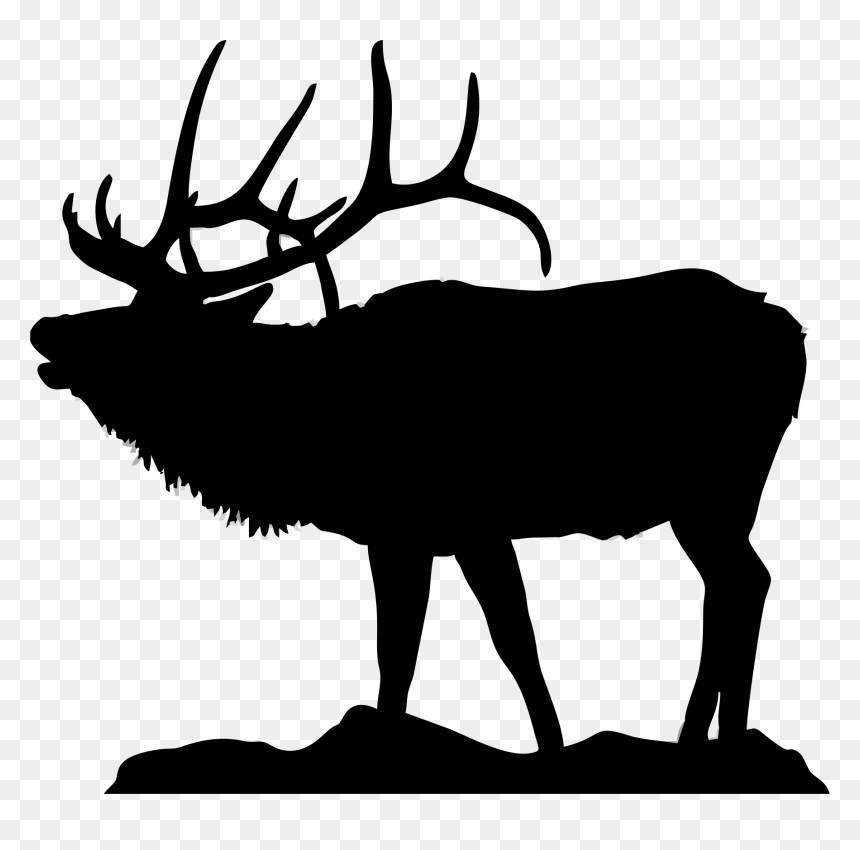 Black And White Elk, HD Png Download - reindeer antlers png
