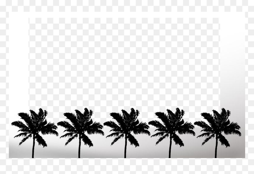 Attalea Speciosa, HD Png Download - tree top png