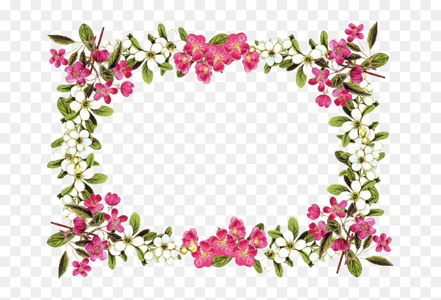 Flower Frame Png Hd, Transparent Png - hawaiian flowers png