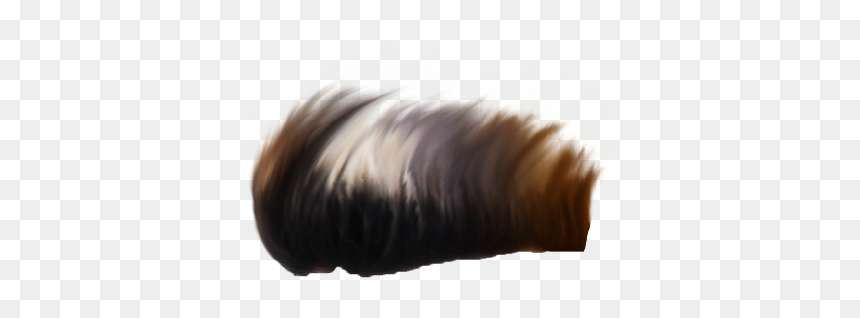 Taukeer Editz Hair Png, Transparent Png - picsart hair png