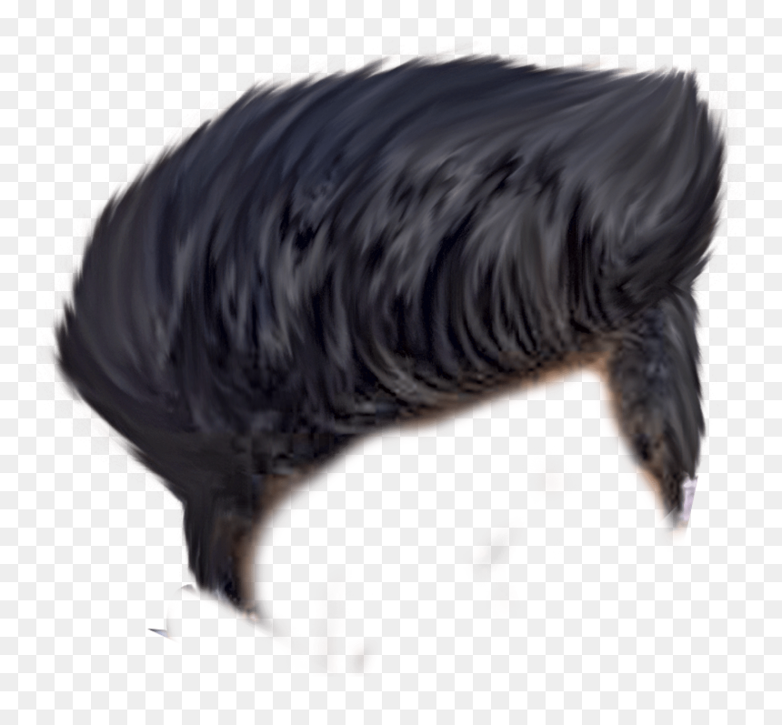 Best Hair Png Hd, Transparent Png - picsart hair png
