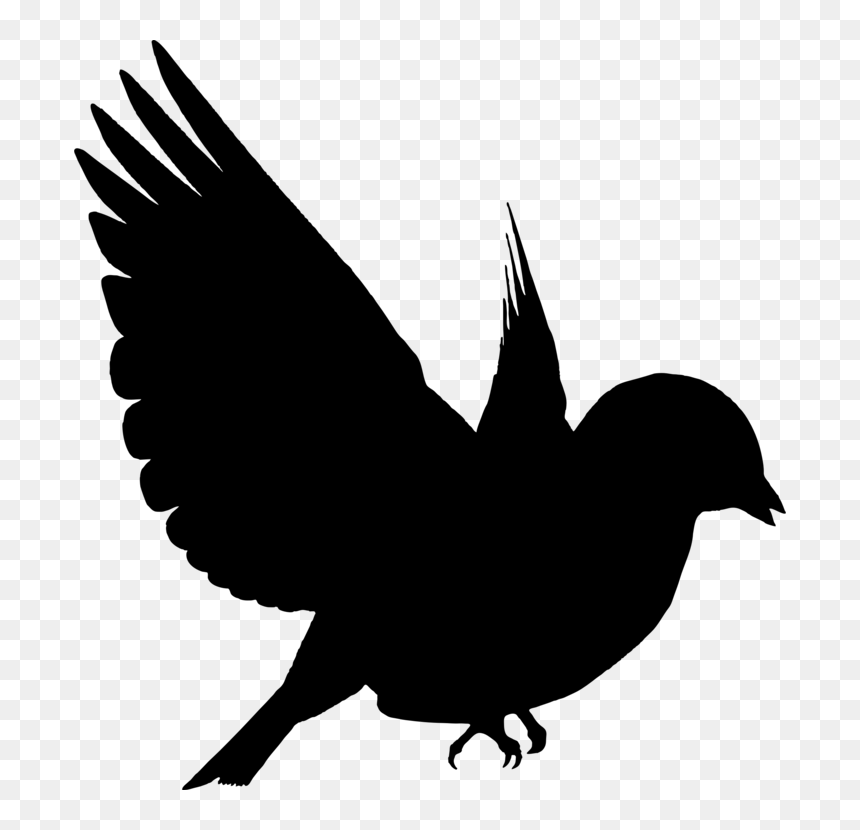 Flying Birds, HD Png Download - bird silhouette png