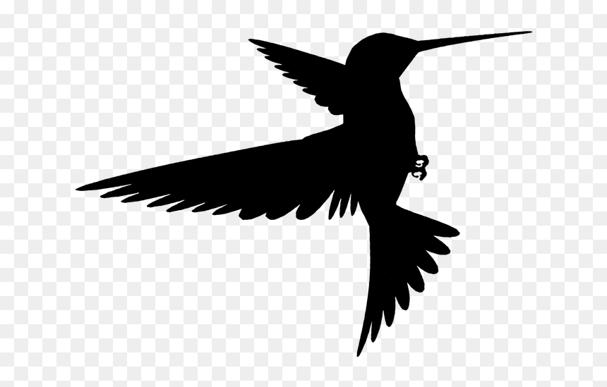 Silhouette Of A Bird Flying, HD Png Download - bird silhouette png
