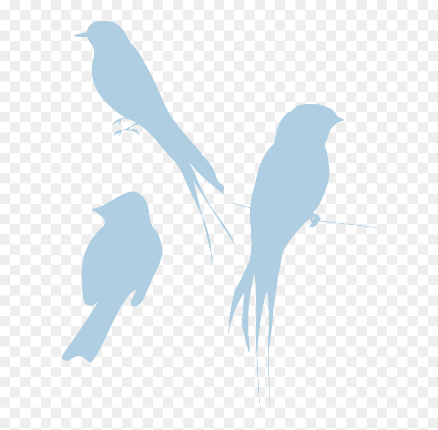 Bird Silhouette, HD Png Download - bird silhouette png