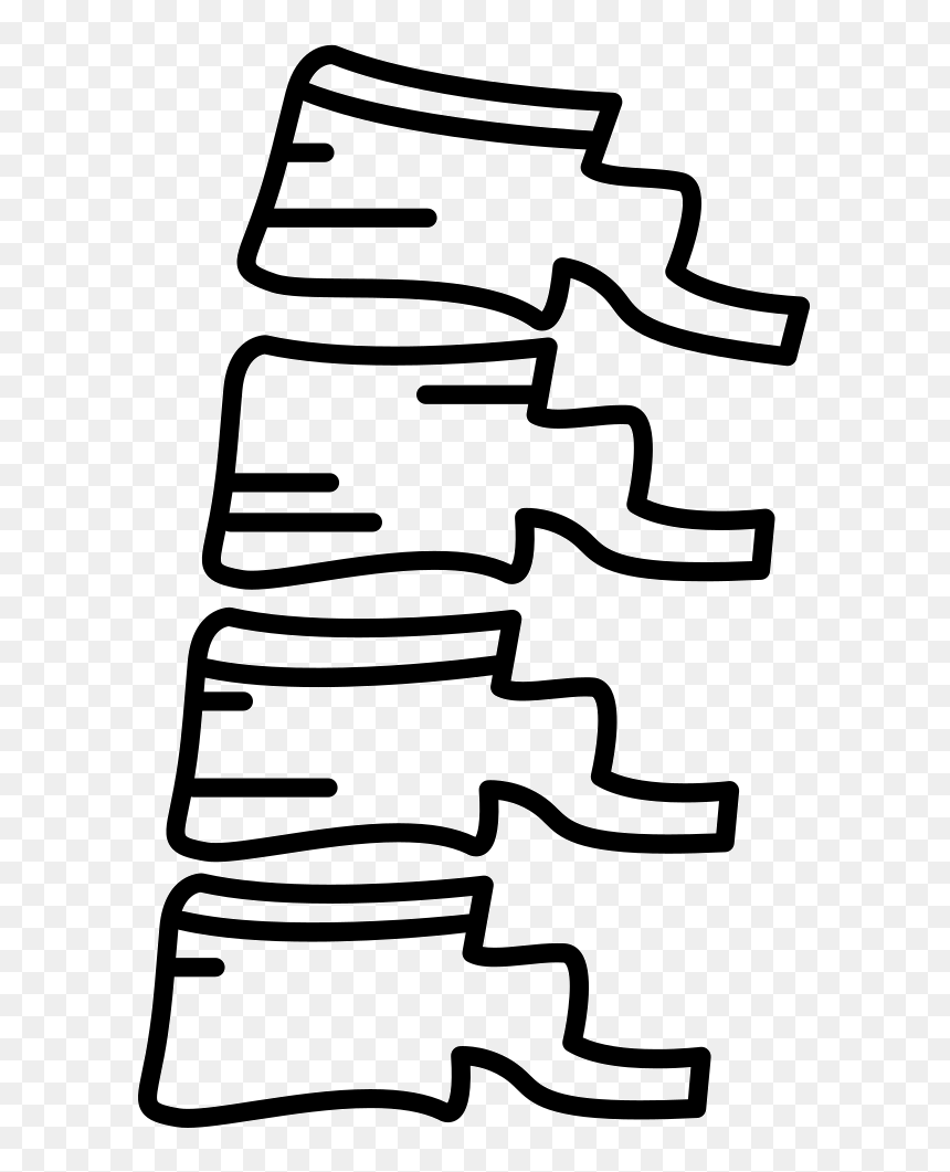 Vertebral Column, HD Png Download - spine png