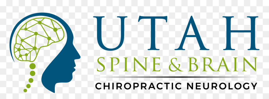 Utah Spine & Brain Chiropractic Neurology, HD Png Download - spine png