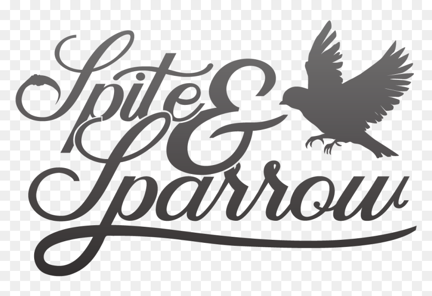 Accipitriformes, HD Png Download - bird silhouette png