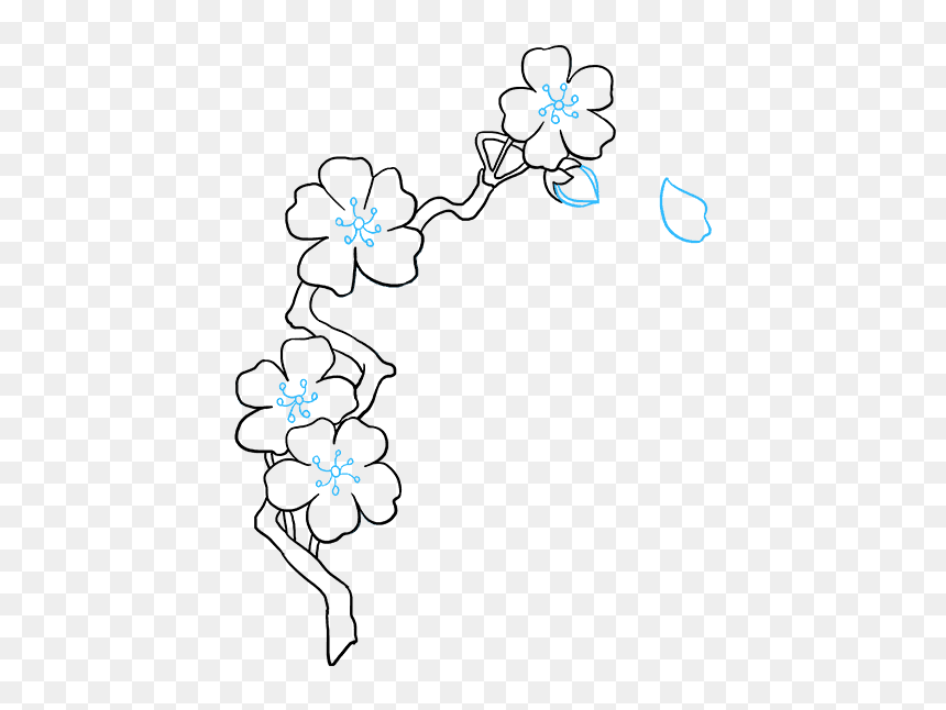 Draw Cherry Blossom Petals, HD Png Download - cherry blossom petals png