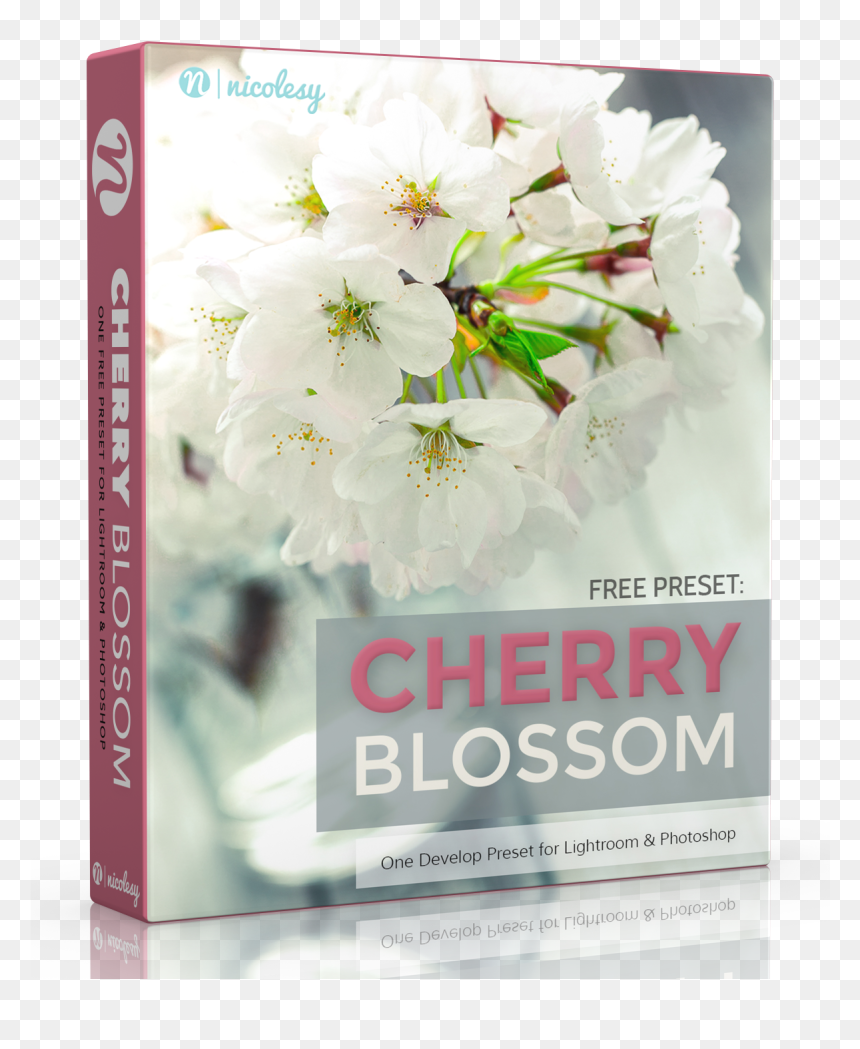 Free Lightroom Preset Cherry Blossom, HD Png Download - cherry blossom petals png