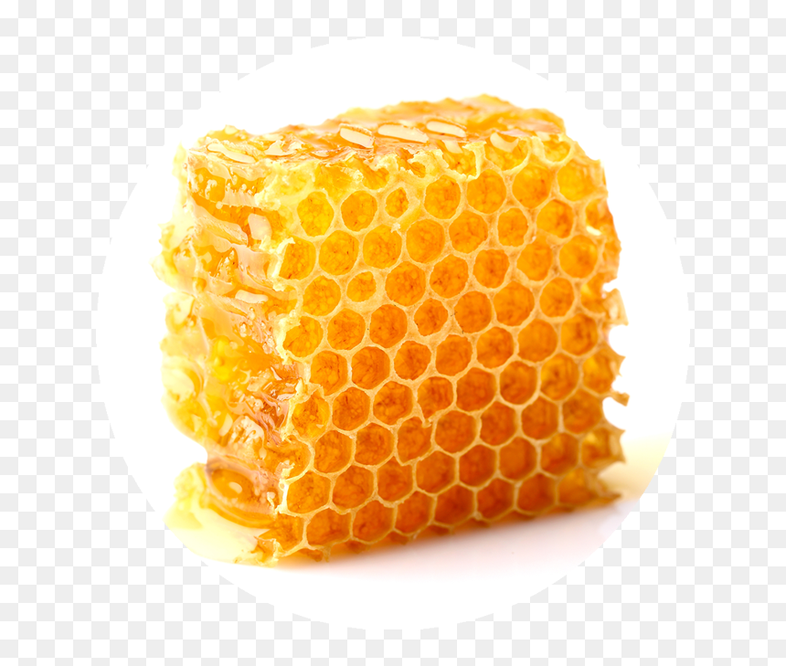 Palavra De Deus E Mais Doce Que O Mel, HD Png Download - honeycomb pattern png