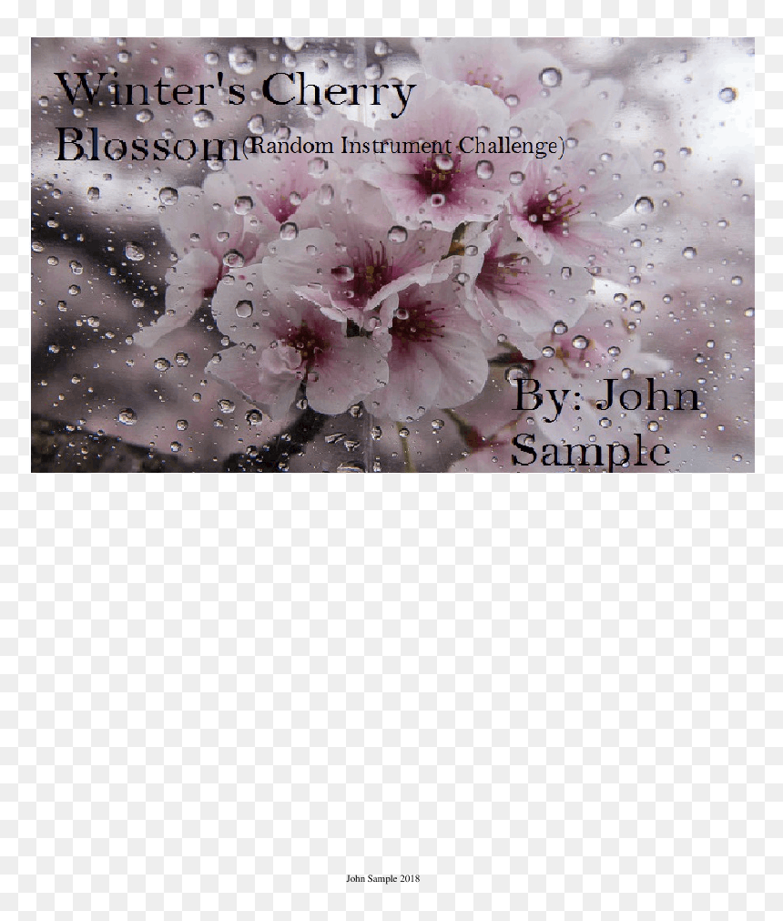 Cherry Blossom, HD Png Download - cherry blossom petals png