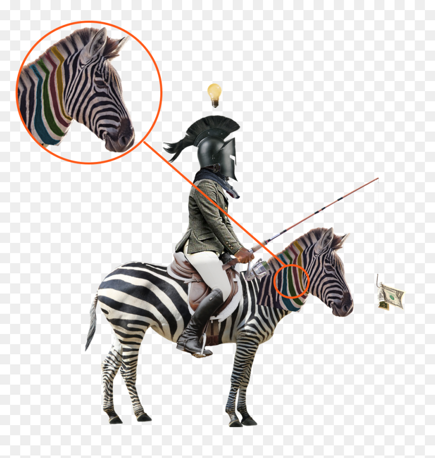 Zebra Clipart , Png Download - Zebra With White Background, Transparent Png - zebra clipart png